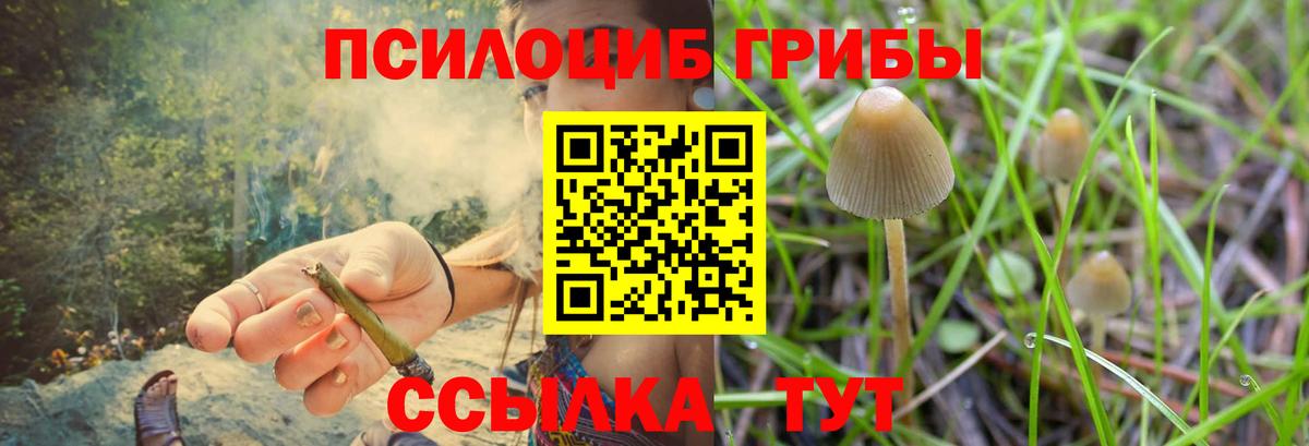 Галлюциногенные грибы Magic Shrooms  Вход с VPN  Зеленокумск  Псилоцибиновые грибы Psilocybine cubensis 
