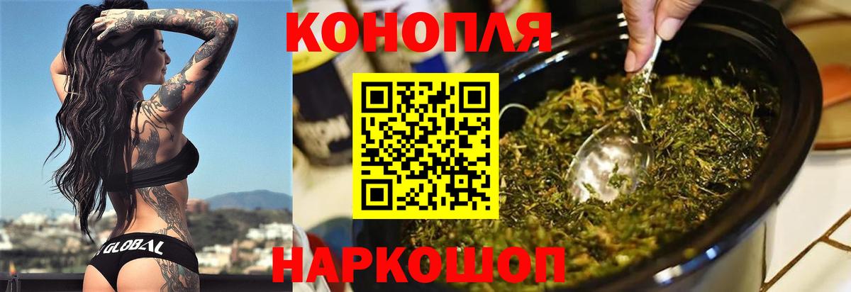 Бошки Шишки сатива  Каннабис планчик  Зеленокумск  Вход с VPN 